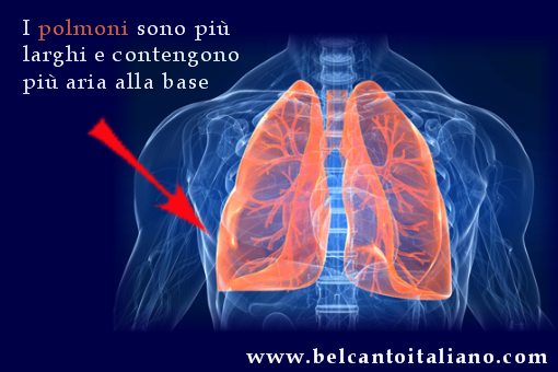 polmone_Belcanto_1